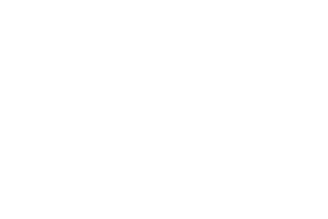 VGM Group, Inc. 